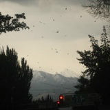 Chingi$ Tleuberdiev*, 08.04, Алматы