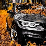 Наиль Тугушев, 20.06.1983, Саратов