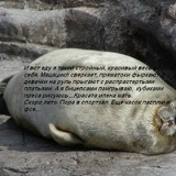 Андрей Мануйлов, 04.09.1982, Москва