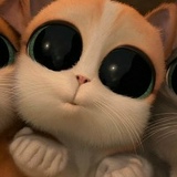 Сашик Ваш, 17.10.1995, Мукачево