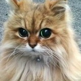 Полина Сибирцева, 20.11.2000, Москва