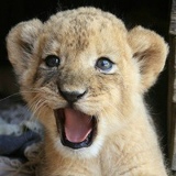 Димка Поздеев, 05.03.1991, Санкт-Петербург