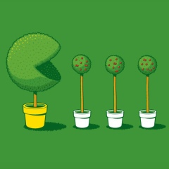 Павел Че, 30.01, Москва