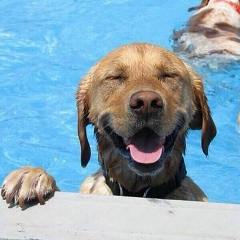 Василий Полынский, 31.08.1981, Санкт-Петербург