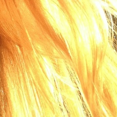 Анастасия Левенкова, 23.01.1990, Sydney