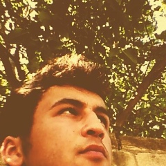 Aydin Novruzlu