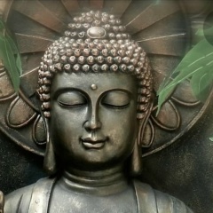 Регина Реневская, Казань