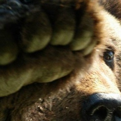 Денис Плетенёв, 05.02