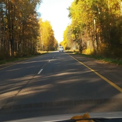 Жанар Базаркулов, Санкт-Петербург