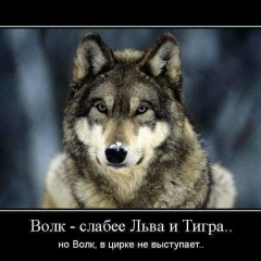 Ирина Ирина