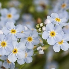 Анна Колышкина, 16.07, Москва