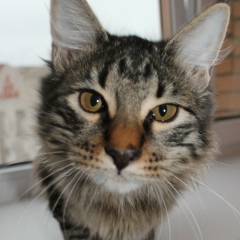 Юрий Елизаров, 28.09.1984, Пенза