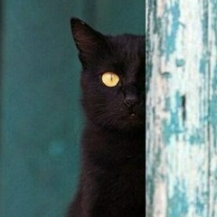 Марина Емельянова, 30.03.1986, Москва