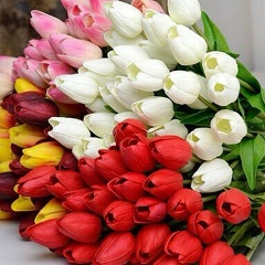 Маргарита Ваниева, 14.09.1989, Владикавказ