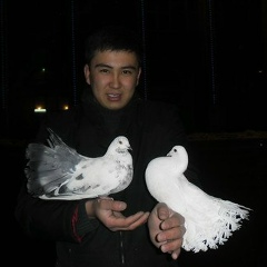 Hazret Ahmetov, 03.01.1988, Алматы