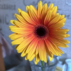 Наталья Воротягина, 04.10.1983, Санкт-Петербург