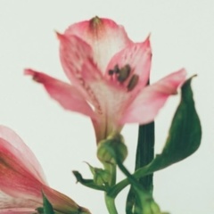 Ольга Пайметькина, 12.10, Самара