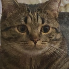 Артём Черняков, 24.01.2004, Алматы