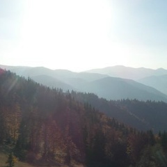 Андрій Гаразд