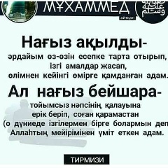 Erlan Ashirbaev, 03.12.1984