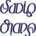 Sadiq Aliyev, Гянджа