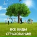Amanat Insurance, 24.07, Алматы