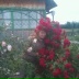 Елена Сабирзянова, 09.02, Пермь