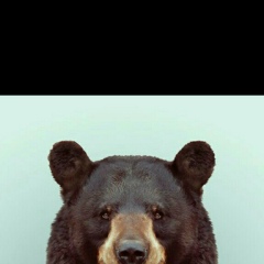 Михаил Левин, 03.12.1985, Москва