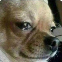 Bianca Maria, 16.02.1997