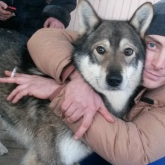 Иван Школин, 28.05, Красноярск