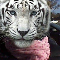 Александра Габдулина, 23.05, Астана