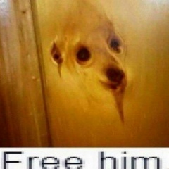 Мефодий Немыкин, 23.08, Астана