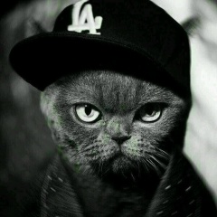 Сергей Хартов, 13.11