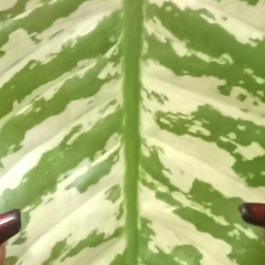 Серафима Морозова, 18.09