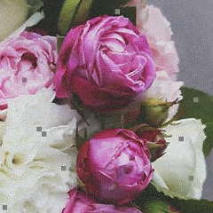 Марина Корниец, 09.04.1994