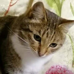 Юлия Копылова, 04.03.1990, Екатеринбург