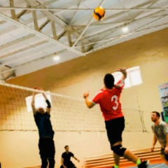 Алексей Гвоздев, Димитровград