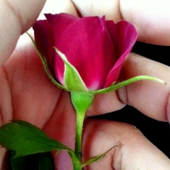 Ana Néres Gois, 30.06.1974