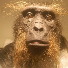 Ярослав Истигечев, 01.01.1971, Санкт-Петербург