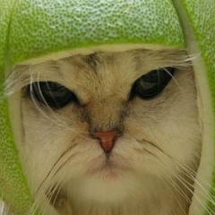 Слава Ткаченко, Владивосток