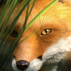 Светлана Клюенкова, Зеленоград