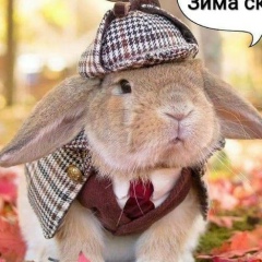 Анастасия Макшанцева, 03.10