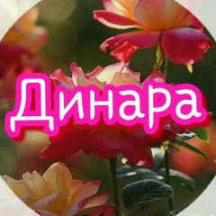Динара Жанабаевна, 23.04.2001, Кызылорда