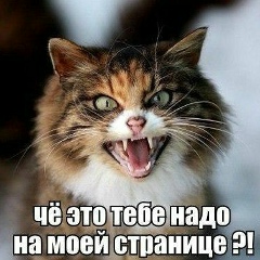 Жанн Екимова, Астана