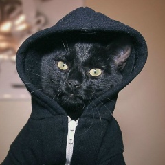 Дмитрий Никитин, 20.01