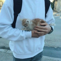 Bir Bala, 01.01.1902