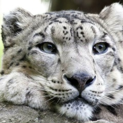 Камиль Рахимов, 22.10