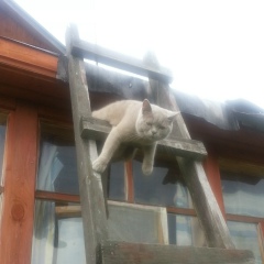 Алёнушка Георгиевна, 13.04, Москва