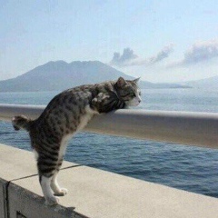 Alex Palchikov, 16.06, Алматы