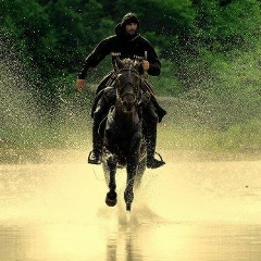 Тимур Гайтукиев, 19.07.1988